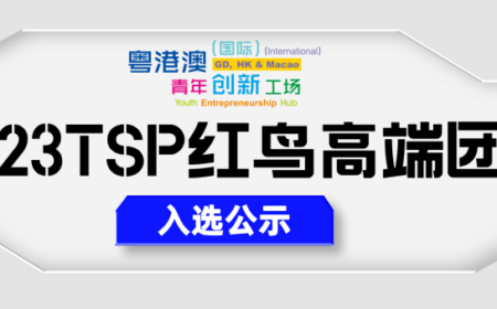 2023TSP红鸟高端团队入选公示
