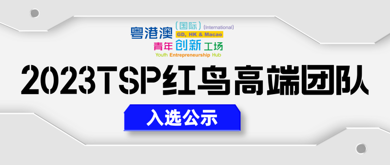 2023红鸟高端团队入选公示