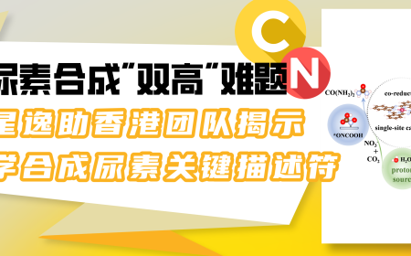 破解尿素合成“双高”难题，天河星逸助香港团队揭示电化学合成尿素关键描述符