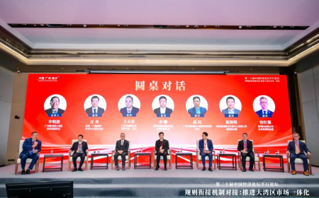 中国经济论坛在南沙举行，我院共话大湾区规则衔接机制对接